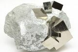 Four, Shiny, Natural Pyrite Cubes in Rock - Navajun, Spain #208957-1